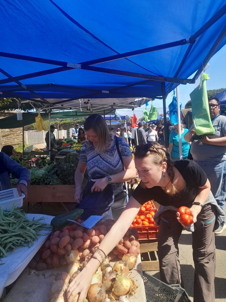 Huara students at the Pichilemu market